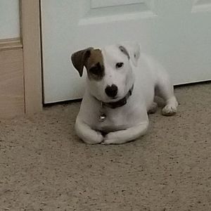 Meet your Posher, Max